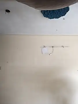 Snapshot of heartless__95 chatting on October 20, 2025, 3:29 am heartless 95 online show from October 20, 2025, 3:29 am