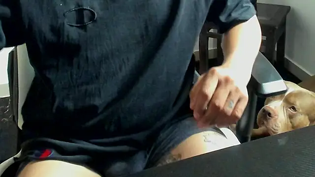 stebankechima online show from October 15, 2025, 12:38 pm