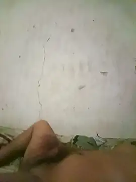 Snapshot of hhzp chatting on October 9, 2025, 12:14 pm hhzp online show from October 9, 2025, 12:14 pm