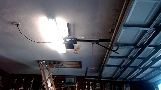 Buffshagswell online show from March 19, 2025, 10:20 pm