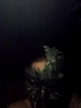 Buffshagswell online show from September 15, 2025, 5:29 am