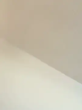 Snapshot of TransboyJay chatting on February 13, 2026, 5:31 pm TransboyJay online show from February 13, 2026, 5:31 pm