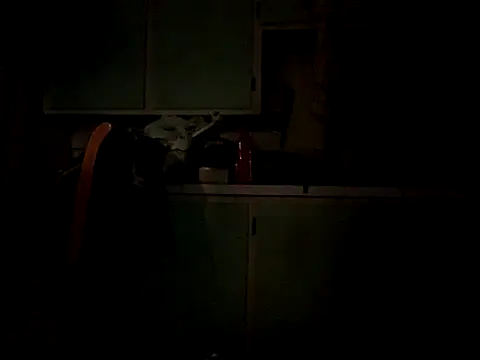 Frankdick01 online show from October 4, 2025, 5:05 am