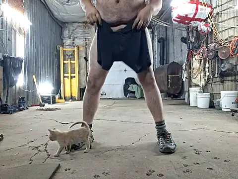 Frankdick01 online show from November 8, 2025, 4:12 am