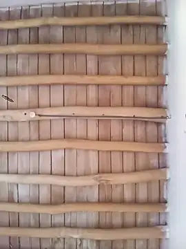 Atabey 65 online show from December 3, 2025, 12:03 pm