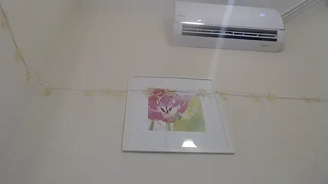 Only Mane online show from January 14, 2025, 2:53 pm