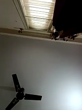 Snapshot of blr_boi chatting on December 3, 2025, 6:54 am blr boi online show from December 3, 2025, 6:54 am