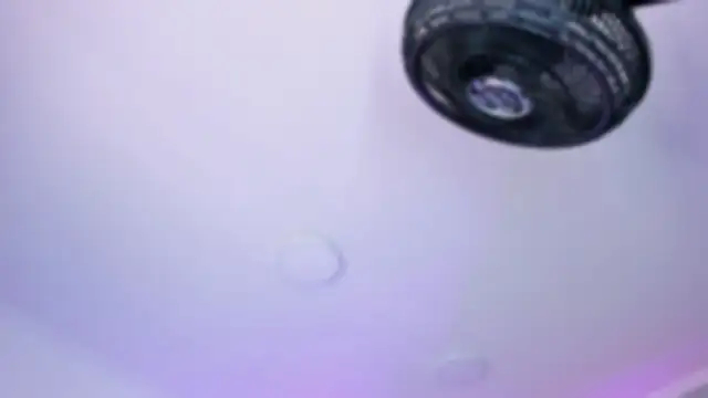 AmberiniHoffman online show from October 26, 2025, 12:11 pm