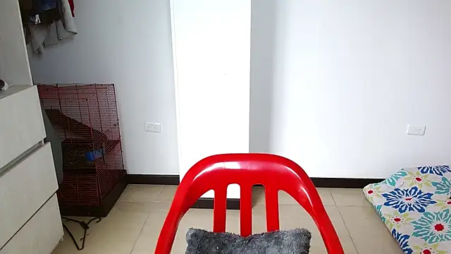 Party trans online show from December 28, 2024, 5:03 pm