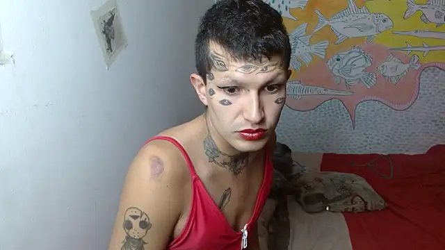 Party trans online show from February 10, 2025, 6:35 pm