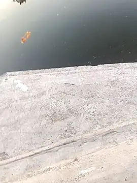 1010SumiT online show from March 22, 2025, 1:08 pm