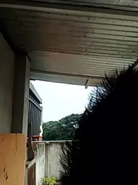 luchoarr online show from December 21, 2025, 1:07 pm