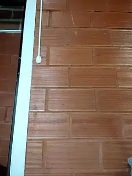 Priyalakshmi  online show from February 27, 2025, 1:28 pm