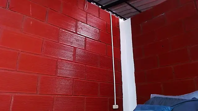 Priyalakshmi  online show from March 18, 2025, 1:09 pm