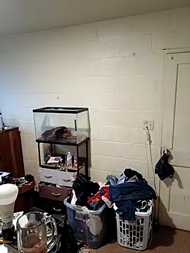 TickleMeKink online show from September 18, 2025, 11:23 am