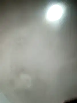  violetta - online show from March 21, 2025, 1:13 am