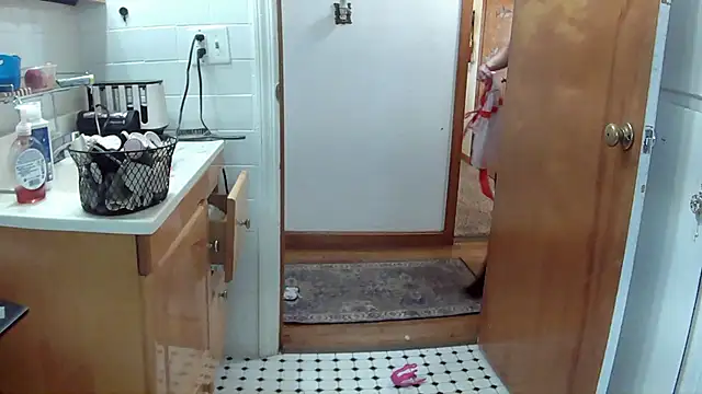 Snapshot of EllaSnow chatting on December 15, 2024, 5:20 pm EllaSnow online show from December 15, 2024, 5:20 pm