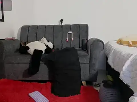 Katt BDSM online show from February 13, 2025, 3:14 pm