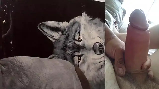 Snapshot of Hornychitown24 chatting on February 3, 2026, 8:36 pm Hornychitown24 online show from February 3, 2026, 8:36 pm