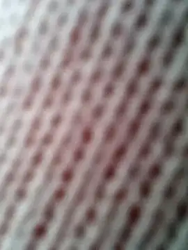 Gardener of Illusions online show from October 31, 2025, 10:27 am