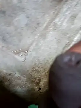 jellydicks online show from December 29, 2024, 11:18 am