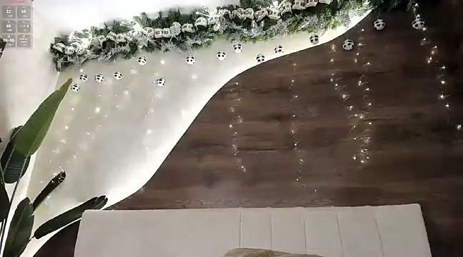 Morgan Hilll  online show from December 15, 2024, 4:37 pm