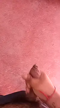 pedritolobito online show from January 15, 2025, 1:41 pm