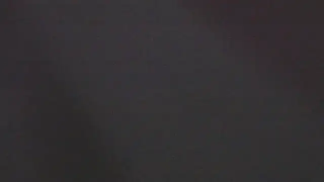 Zoeth Ruiz online show from January 4, 2025, 3:39 pm