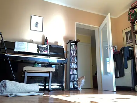 Bula94193 online show from September 24, 2025, 9:45 am