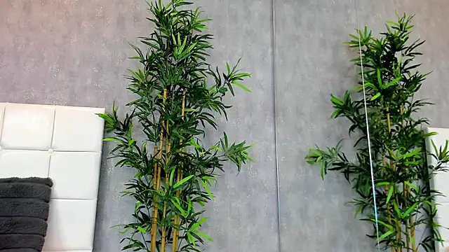 Snapshot of KatelynSparks chatting on January 28, 2025, 6:27 am KatelynSparks online show from January 28, 2025, 6:27 am