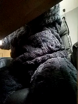 JJBOY-SF online show from March 14, 2025, 9:14 am