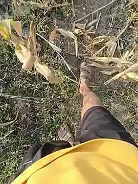 Piyush 2024 online show from March 23, 2026, 2:15 am