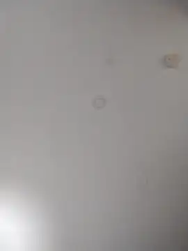 geilerschwanz64 online show from October 10, 2025, 6:01 am