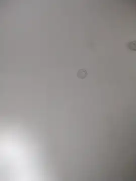 geilerschwanz64 online show from October 30, 2025, 11:38 pm