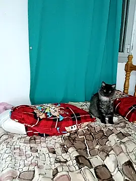 Snapshot of sama0012 chatting on February 19, 2025, 11:14 pm sama0012 online show from February 19, 2025, 11:14 pm