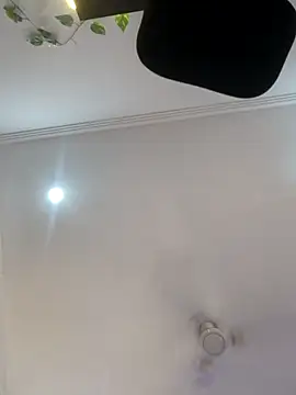 Archi-07 online show from October 24, 2025, 8:11 am