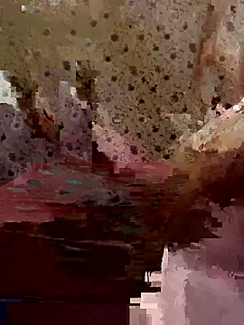 ahross online show from March 26, 2026, 11:54 pm