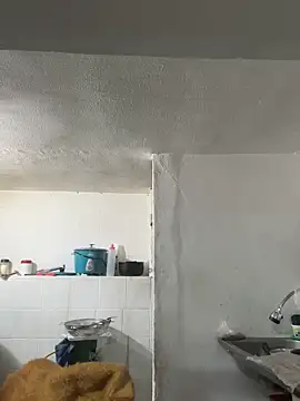 siri duque online show from October 25, 2025, 11:07 am