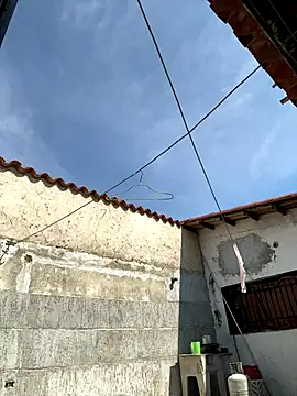 Leo bunny hot online show from October 2, 2025, 6:48 pm