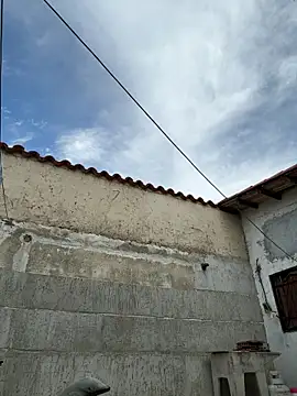 Leo bunny hot online show from October 5, 2025, 7:23 pm