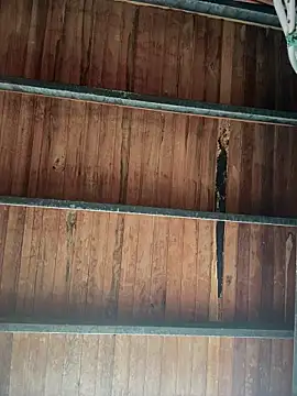 Leo bunny hot online show from January 18, 2026, 8:23 pm