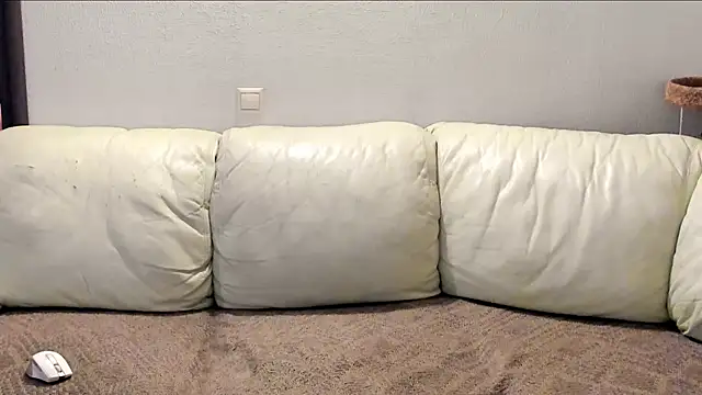 Pawsitive Panther online show from December 2, 2024, 8:44 pm