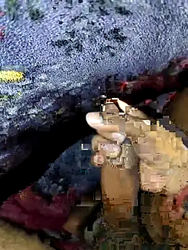 Kolkataboiy online show from September 24, 2025, 2:59 am