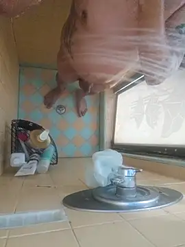 Snapshot of nakedtony81 chatting on March 4, 2026, 10:43 am nakedtony81 online show from March 4, 2026, 10:43 am