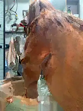 Snapshot of Aimeil chatting on November 18, 2025, 3:27 pm Aimeil online show from November 18, 2025, 3:27 pm