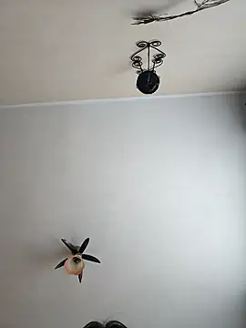 vulpe8400 online show from April 18, 2026, 9:02 am