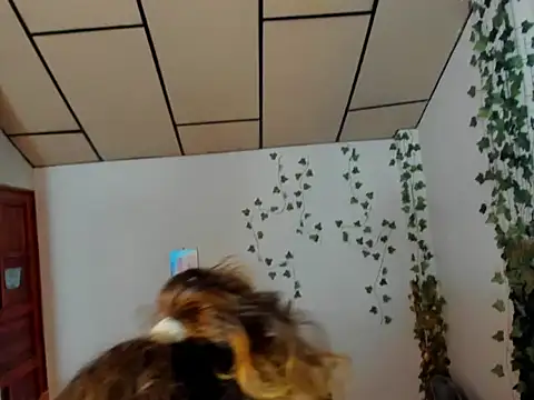 fulfill fantasies1 online show from February 17, 2026, 12:56 pm