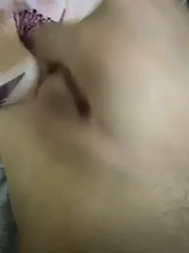 hamed-697 online show from December 4, 2024, 11:30 am