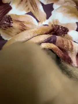 hamed-697 online show from December 16, 2024, 8:48 pm