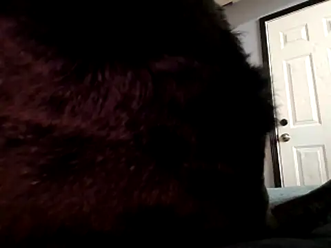 DevinToore online show from October 29, 2025, 3:31 am